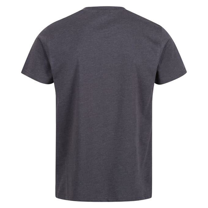 Regatta Heren Pro Cotton Soft Touch T-Shirt (Afdichting Grijs)
