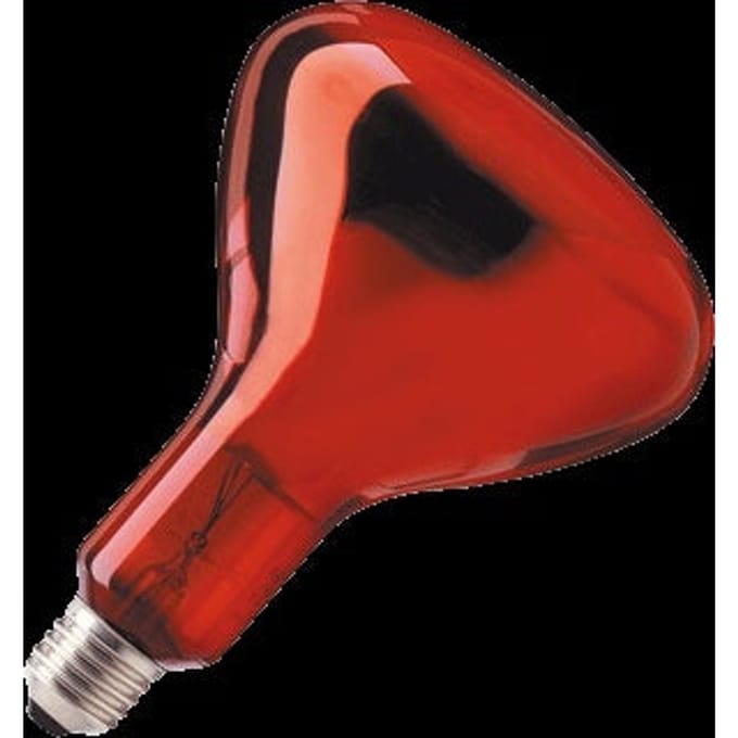 Philips BR125 Infraroodlamp E27 250W 1200K 230V - Warmtelamp - Rood Licht