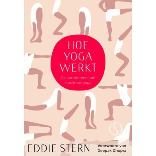 Hoe Yoga Werkt - Eddie Stern
