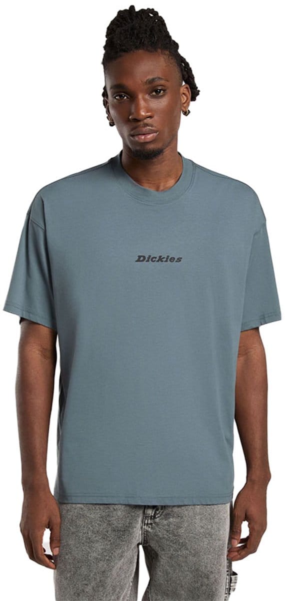 Dickies Enterprise T-shirt Met Korte Mouwen Grijs M Man