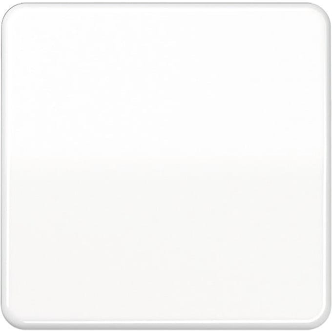 Jung CD500 Schakelelement/Centrale Plaat - CD590BFWW