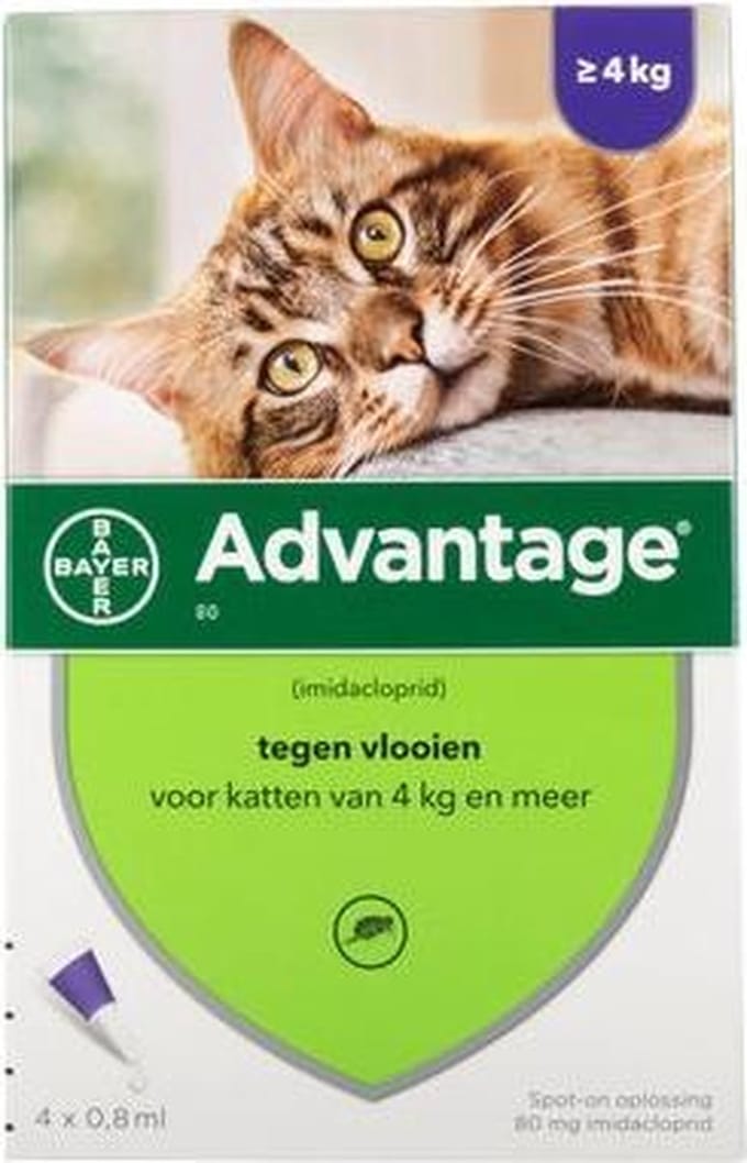 Advantage Kat 80 - 4 pipet