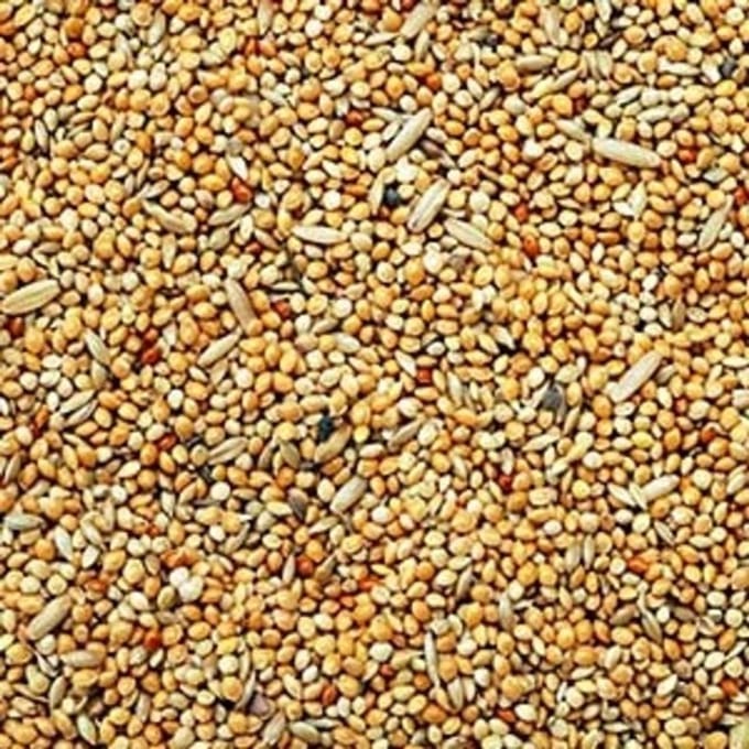 Buddys -slaats bird line parkietenzaad 2,5 kg
