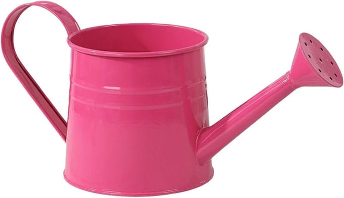 Gieter Buitengebruik - Lange Tuit - Planten Verzorgen - Elegant Functioneel - 1 Liter - Heet Roze