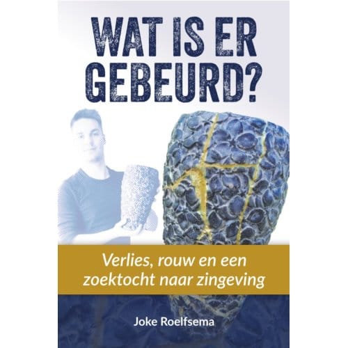 Wat Is Er Gebeurd? - Joke Roelfsema