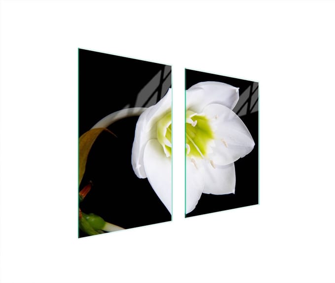 TMK ArtDeko - Snijplank - Orchidee - Glas - 65x52 cm