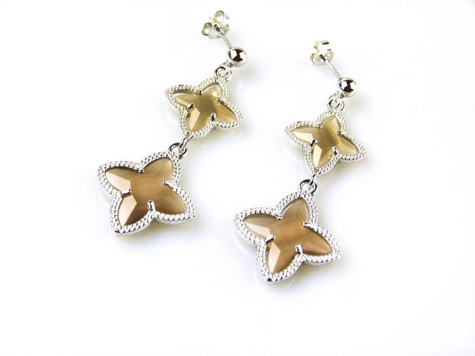 model 2 Stars oorringen in zilver bruine sterren