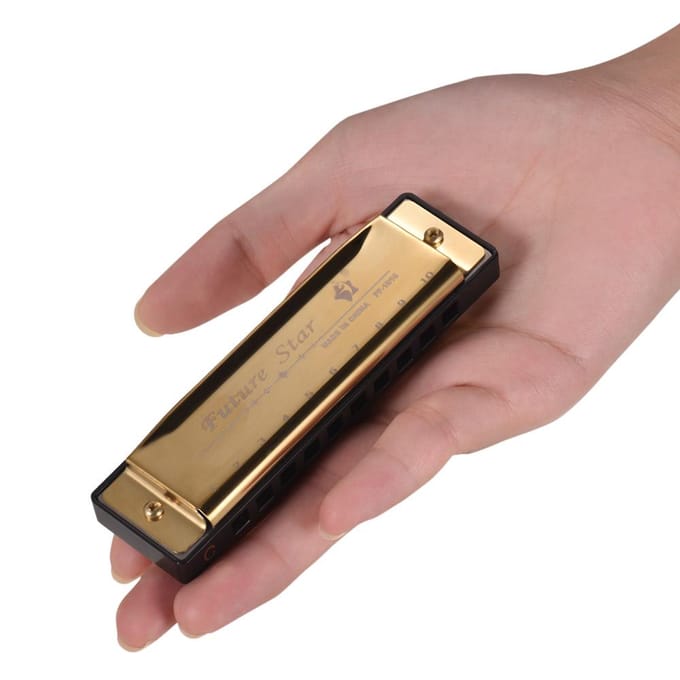 Clé de C Harmonica diatonique Mouthorgan avec anches ABS Surface miroir Design 10 trous bleus noir