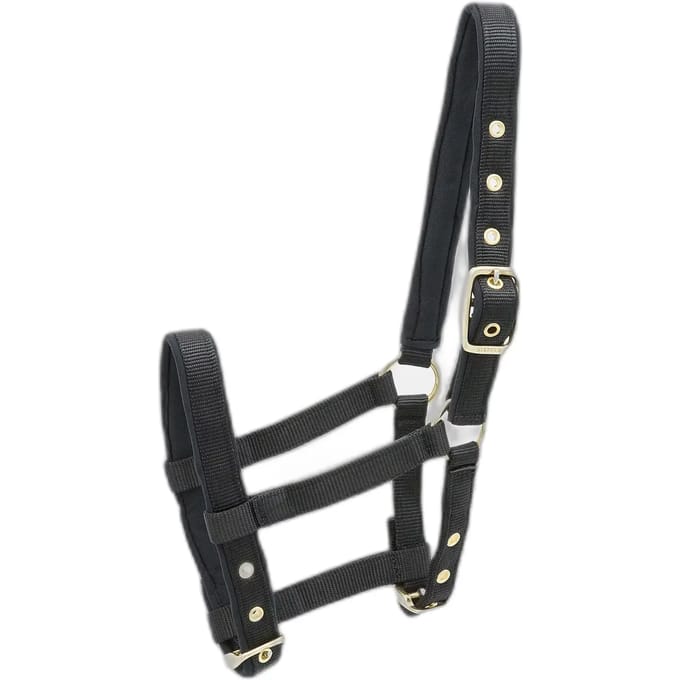 Nylon hoofdstel voor paard Kieffer