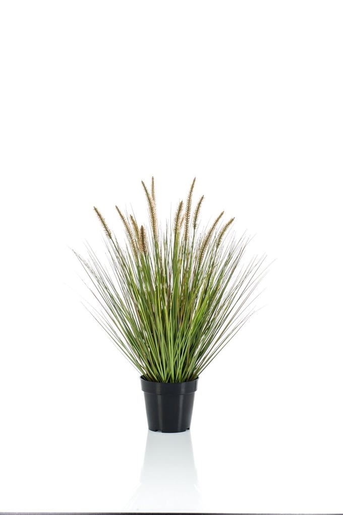 Emerald - Kunstplant Pennisetum Gras 71cm - Kunstplant voor binnen
