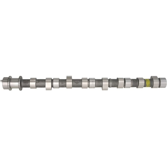 Nokkenas  AMC 665841