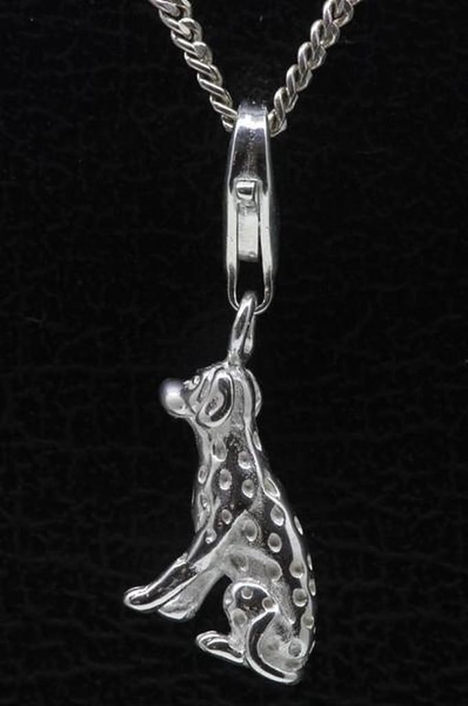 Zilveren Dalmatiër hanger én bedel