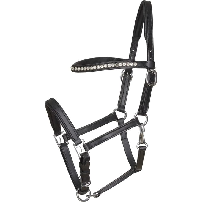 Leren halster voor paarden HorseGuard
