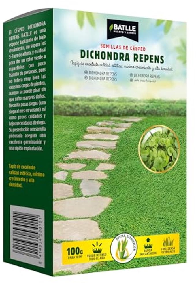 Dichondra repens: Perfecte Bodembedekker voor Tuinen en Gazons