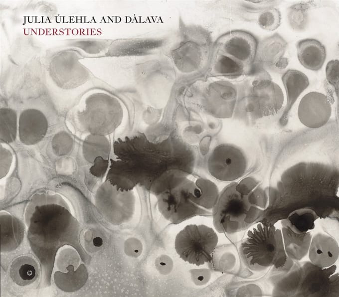 Julia Ulehla & Davala - Understories (CD)