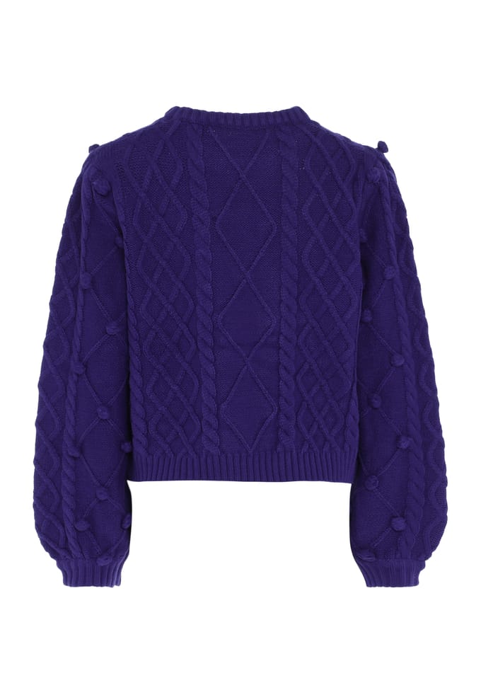 IZIA Jumper Dames blauw