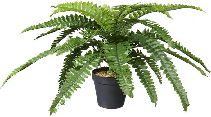 Kunstplant Nephrolepis/Varen H35cm - HTT Decorations kunstplanten
