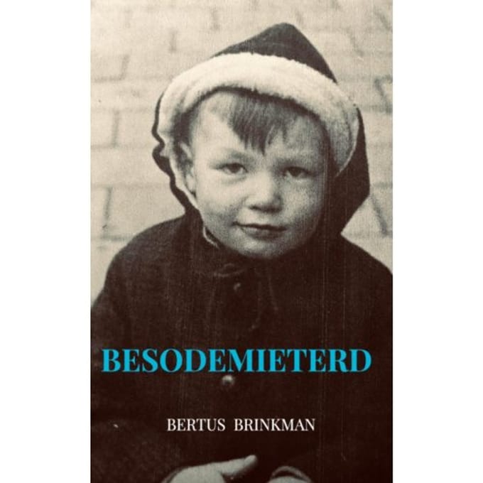 Besodemieterd - Bertus Brinkman