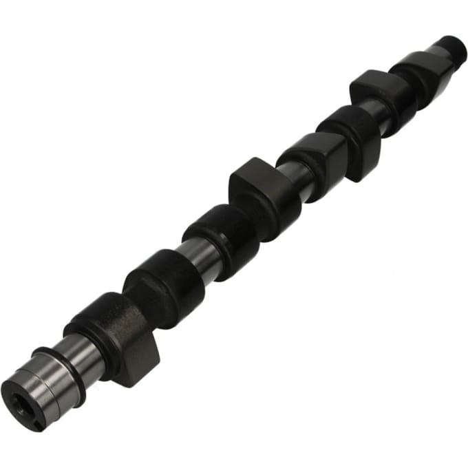 Nokkenas  AE CAM654