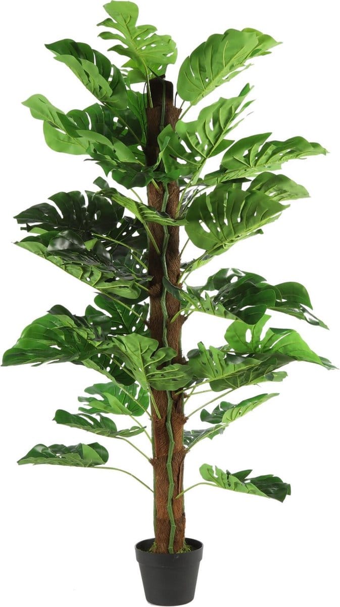 Countryfield kunstplant Monstera L