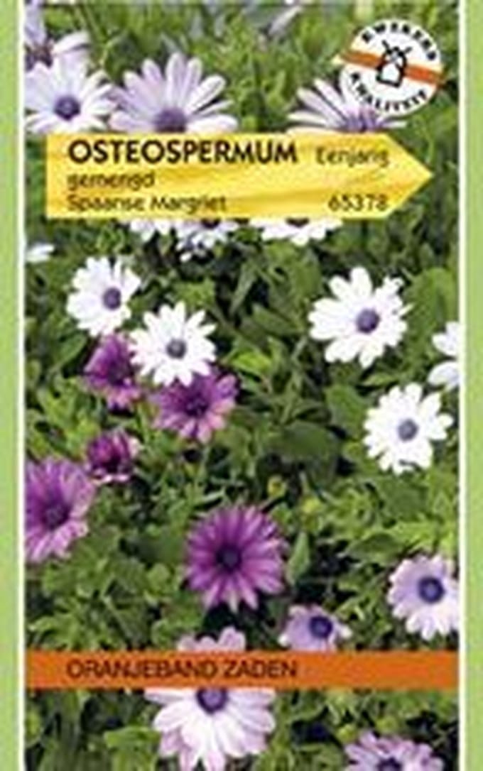 Oranjebandzaden -  Osteospermum, Spaanse Margriet Passion gemengd