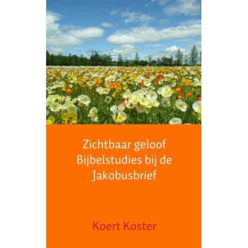 Zichtbaar Geloof Bijbelstudies Bij De Jakobusbrief - Koert Koster