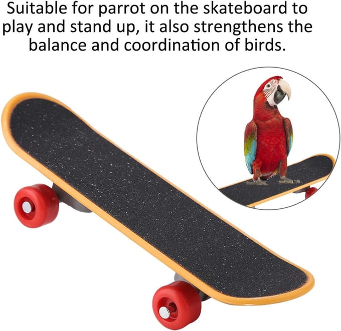 Ejoyous Bird Toy Mini Training Skateboard for Parrot, Cocktail, Dwarf Bird, Small and Medium Bird, Durable and Fun to Play with, Great for Birds