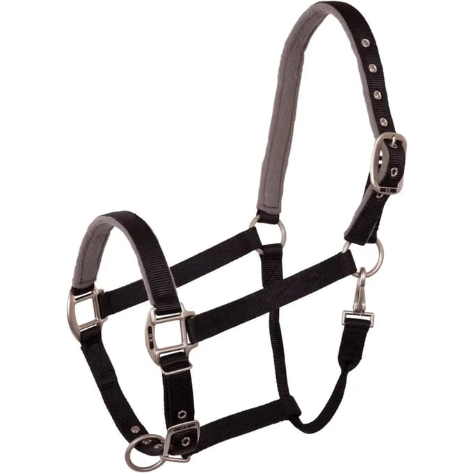 Halster voor paarden BR Equitation Event