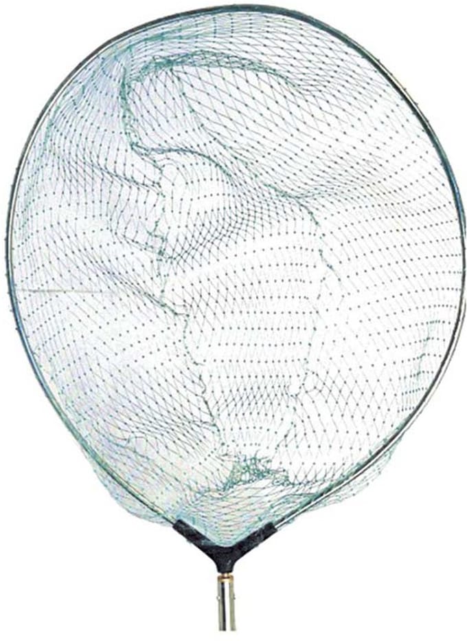 Expert Predator Schroefdraad Landingsnetkop Blauw 50 cm