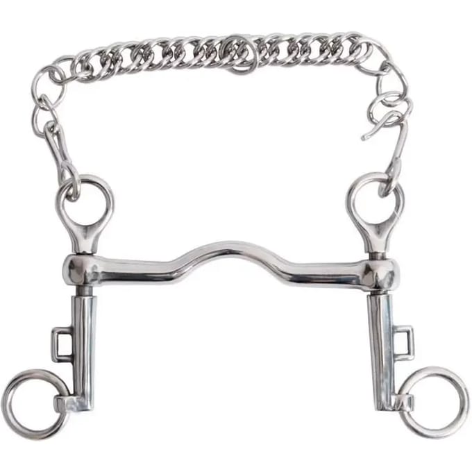 Saumur paardenbit T de T