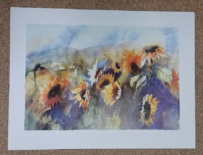 poster Verkerke J. Hämmerle - Sunflower field 80 x 60 cm