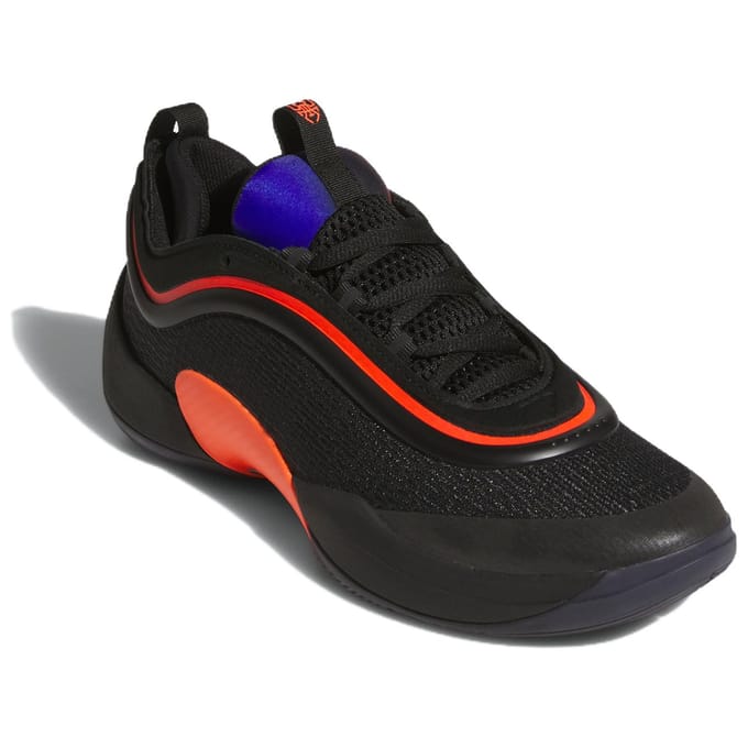 Basketbalschoenen adidas D.O.N. Issue 5