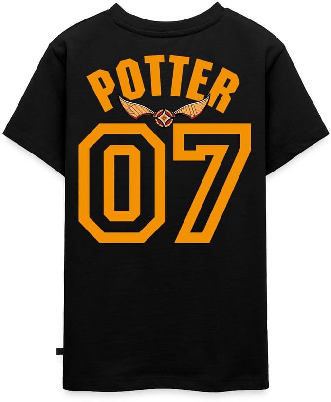 Harry Potter Gryffindor Quidditch Potter Premium T-Shirt Tiener