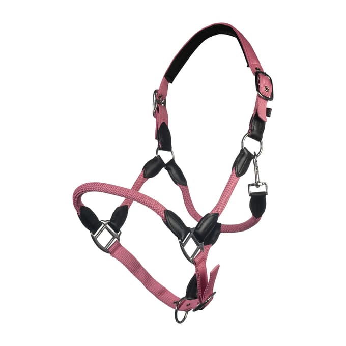 Halster voor paarden HKM Carlotta