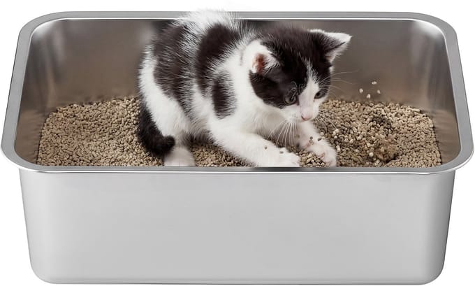 Feandrea - Kattenbak - Open Ontwerp met Hoge Rand - Geurvrij