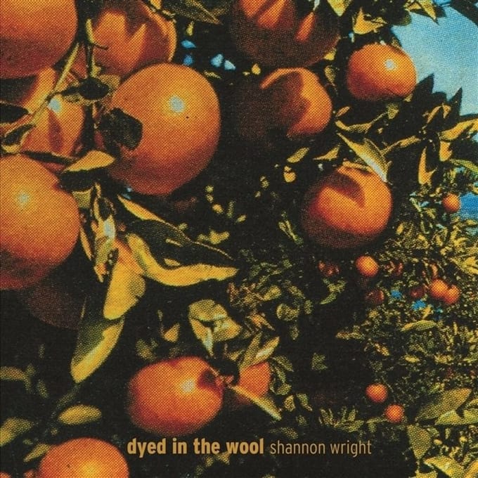 Shannon Wright - Dyed In The Wool (CD)