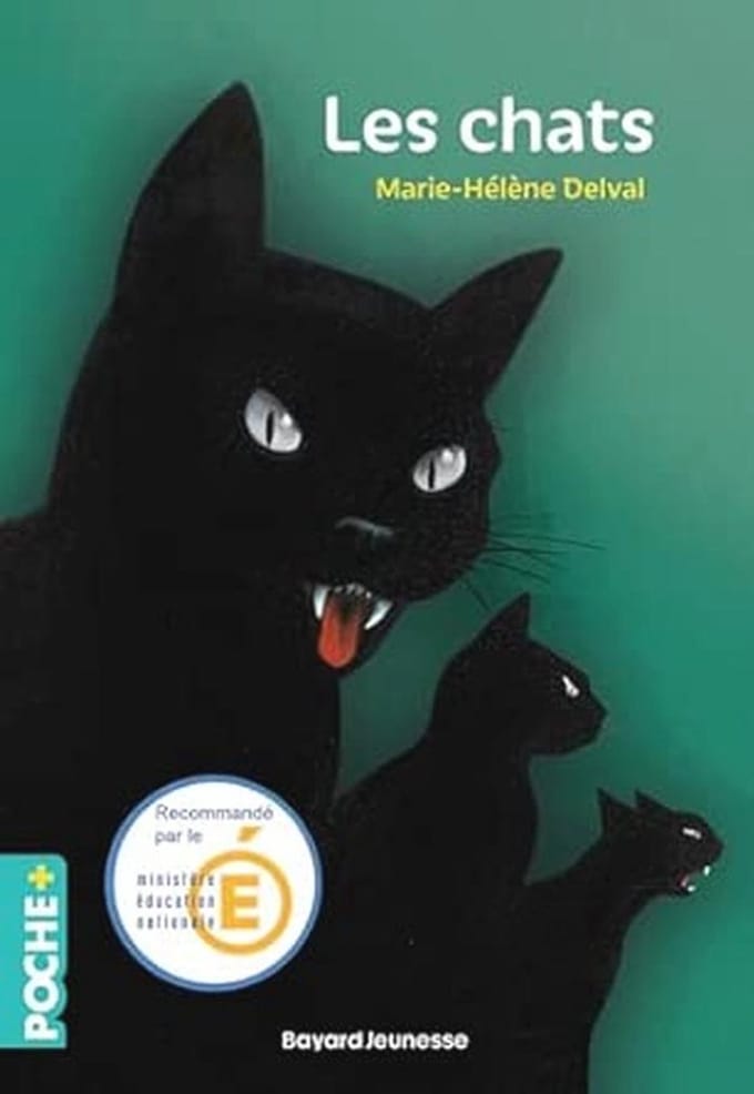 Spannende Verhalen over Zwarte Katten
