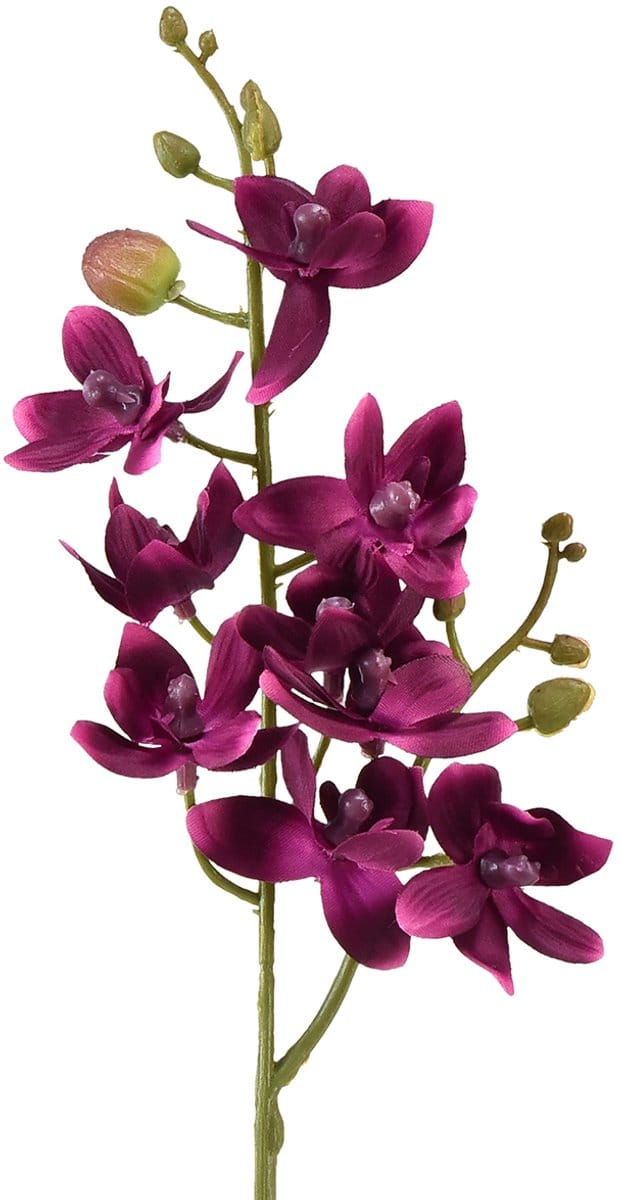 Kleine orchidee Phalaenopsis kunstbloem donkerpaars 30cm