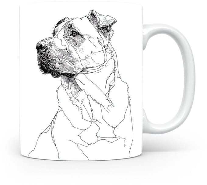 Beker Kangal
