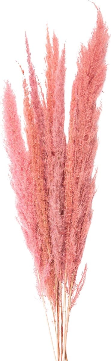 Clayre & Eef Droogbloemen 100 cm Roze Droogbloemen