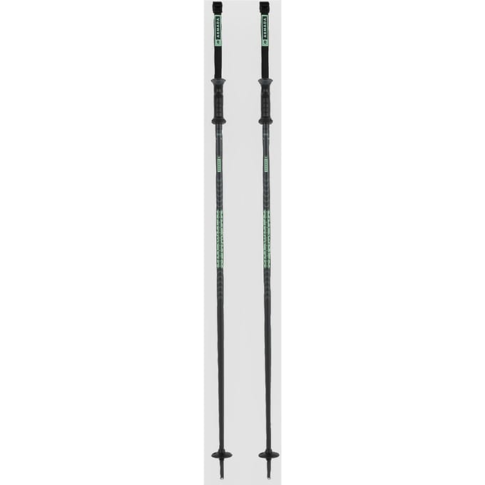 Armada Triad Ski Stokken groen