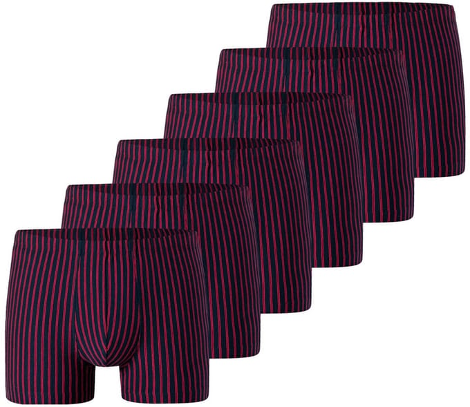 Schiesser Heren retro short / pant 6 pack 95/5 Essentials Cotton