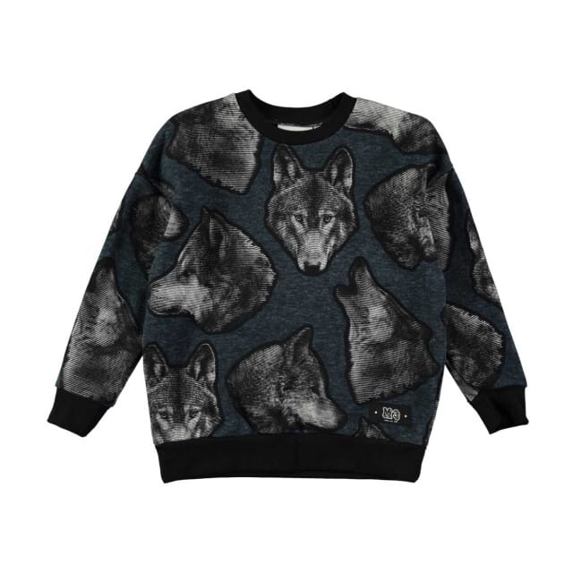 Levi´s ® Kids Mini Batwing Hoodie Blauw 6 Years Jongen