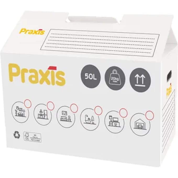 Praxis Verhuisdoos - Karton - 50l