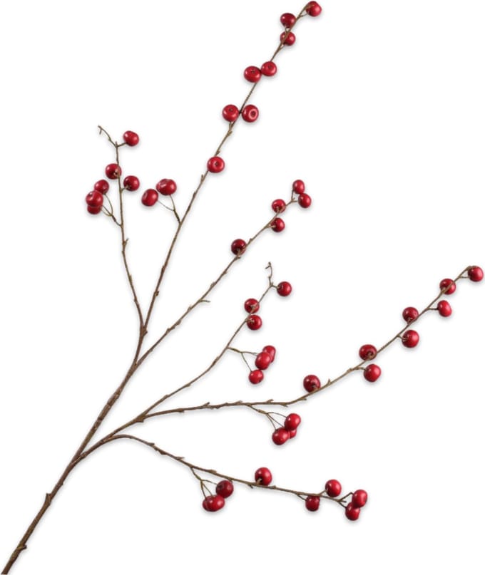 Silk-ka - Kunstbloem - appel - rood - H124 cm
