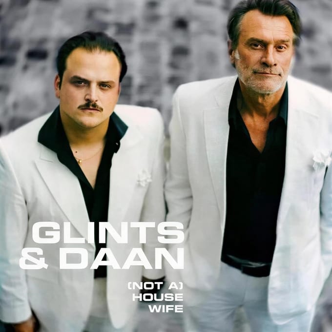 Glints & Daan - (Not A) Housewife (7" Single)