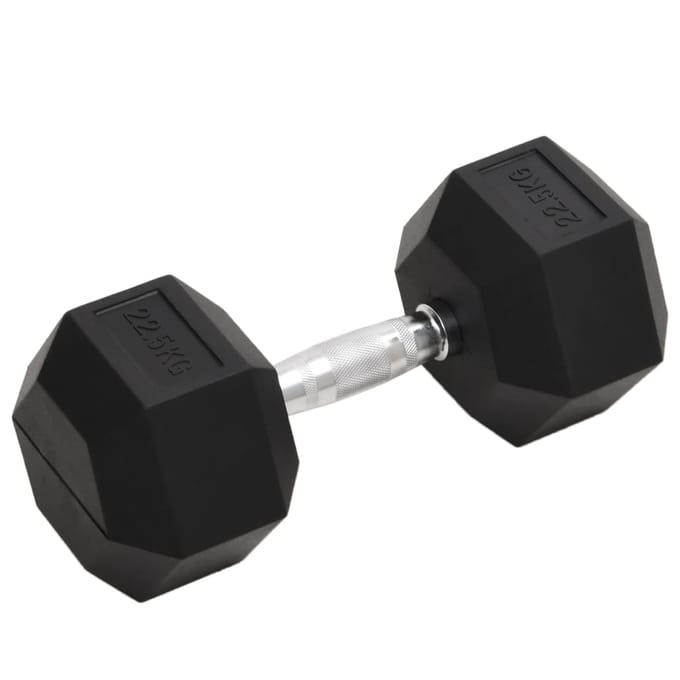 vidaXL - Halters - 22,5 - kg - gietijzer