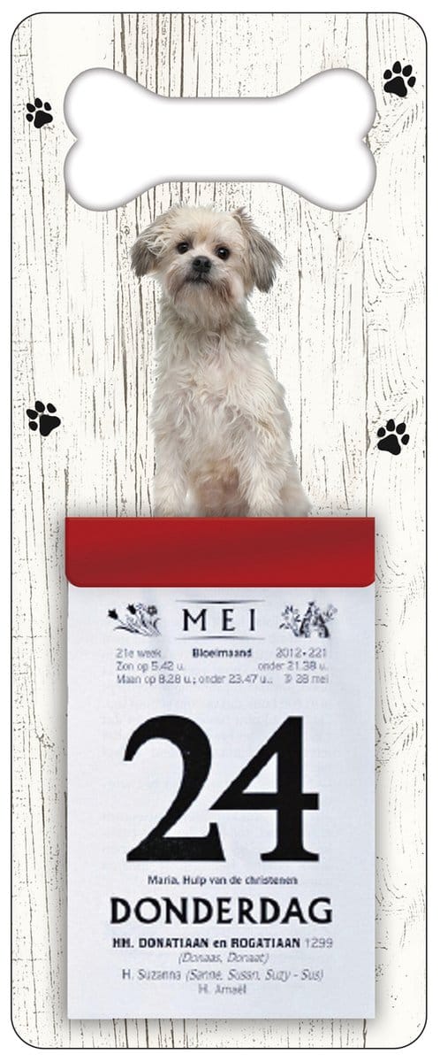 Scheurkalender 2027 Hond: Leeuwhondje