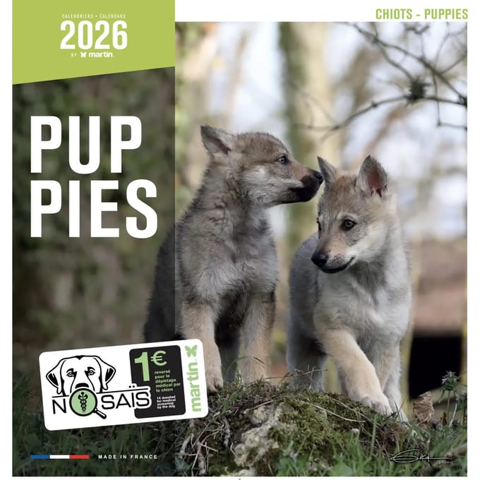 Kalender Martin Sellier Chiots
