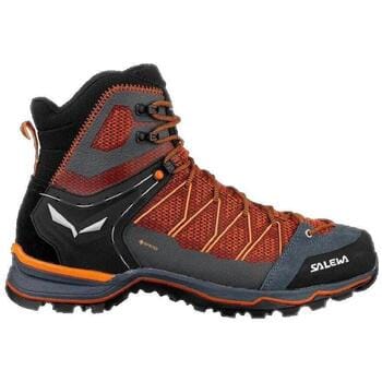 Wandelschoenen Salewa Mountain Lite Goretex